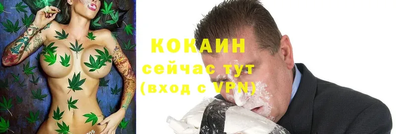 Cocaine Эквадор  Богородск 